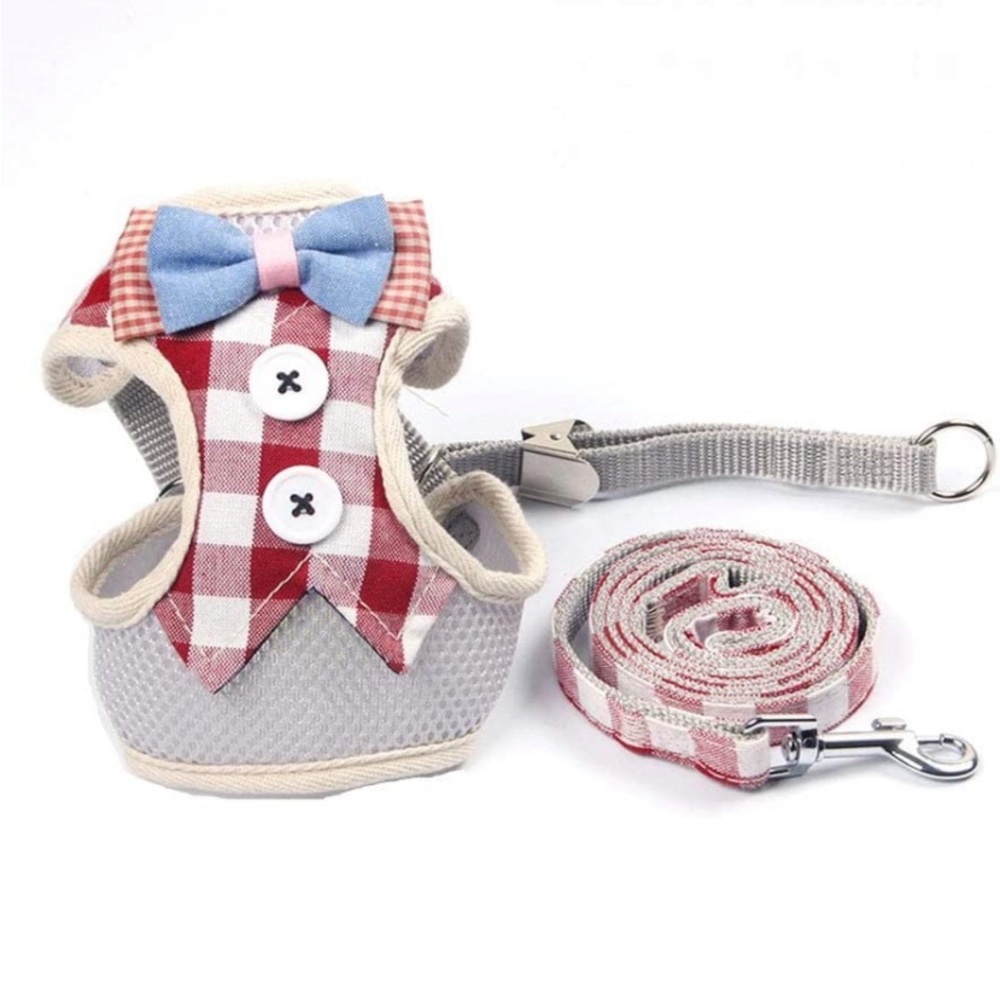 Puppy Harness and Leash Set